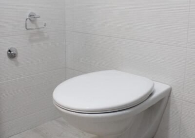 Toilet & Bathroom Fix in St. Petersburg, FL